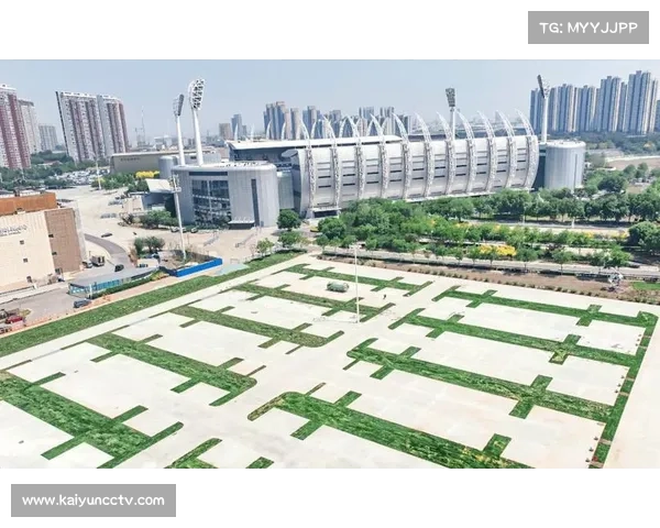 30%职业足球场被改造为智能停车场